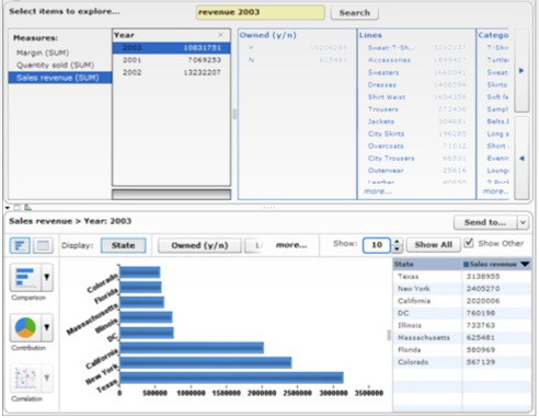 SAP Business Objects Explorer(Polestar)