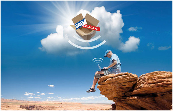 SAP In The Cloud