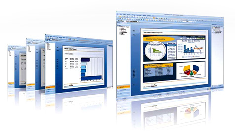 SAP Crystal Reports 2011